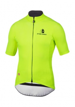 Maillot WS Team Edition